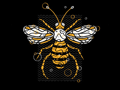 Living Things bee bees buzz honey bee illustration pattern series wings