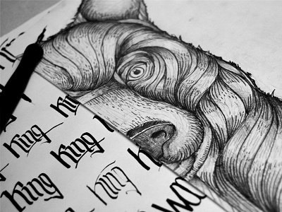 King of the Woods bear bear drawing corss hatch drawing india ink king line work nib nib pen shading sketch woods
