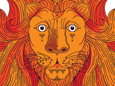 Detail lion lion detail lion mane mane