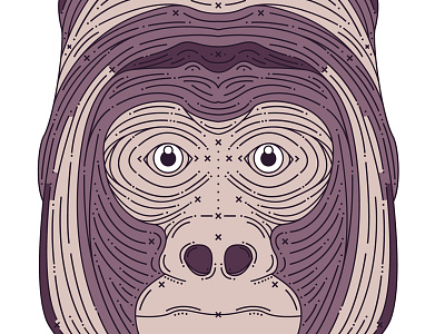 Gorilla Detail