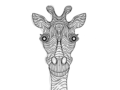 Giraffe giraffe giraffe drawing giraffe sketch giraffe vector