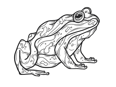 Frog man