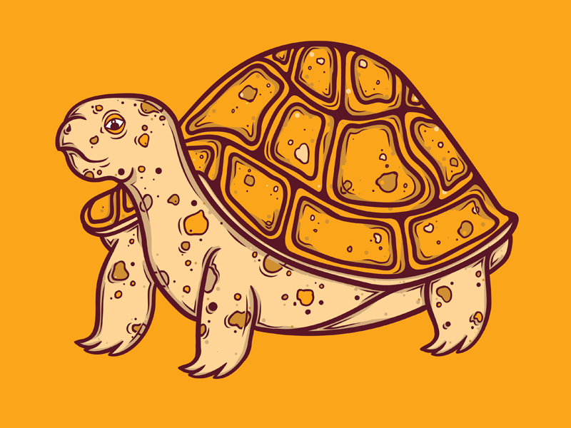 Turtle by Brad Hansen on Dribbble