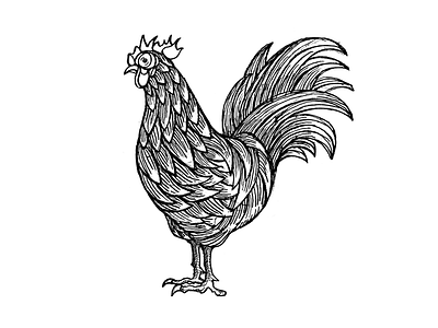 Random Rooster