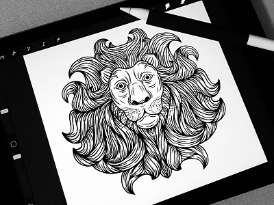 Lion Sketch ipad drawing lion lion drawing lion mane lion sketch procreate