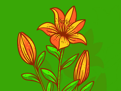 tiger lily design