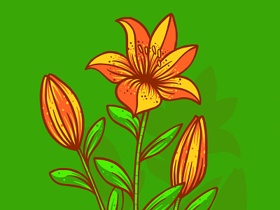 Flower flower flowers ipad pencil leaf lillies lily petals procreate tiger lily