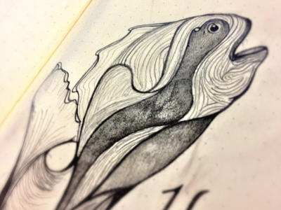 Fish illustration character drawing fish illustration line pencil shading sketch
