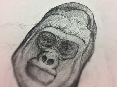 Gorilla characters drawing gorilla monkey pencil shading