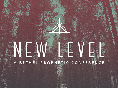 New Level Conference