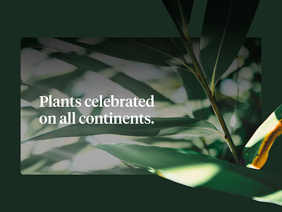 Plants Day after effects botanical interface motion plants sketchapp ui user interface ux web web design