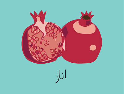 Anar is pomegranate in Farsi art fruit illustration pomegranate