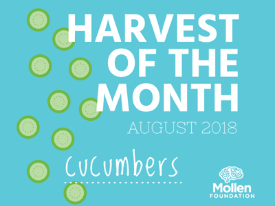 Harvest of the Month graphic design