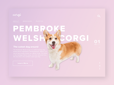 Corgi Web Page