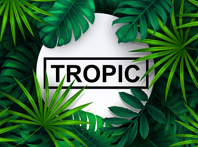 tropical background design illustration lives nature tropic vector