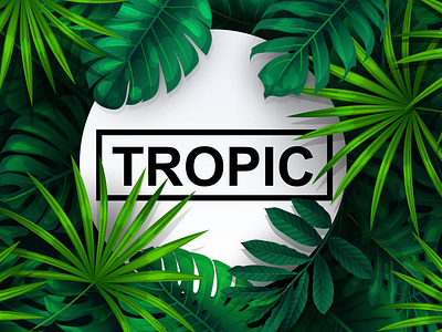 tropical background