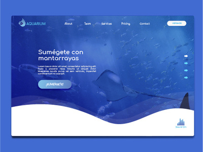 Aquarium aquarium blue cta design landing page under water web web deisgn