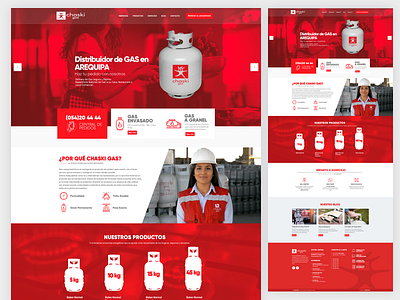 Distribuidora design flat graphic design ui ux vector web website