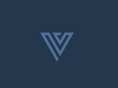 "V" logo premade branding design explorations logo vector