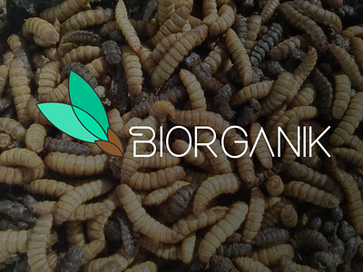 Biorganik branding design ecology logo logotype minimal recycle