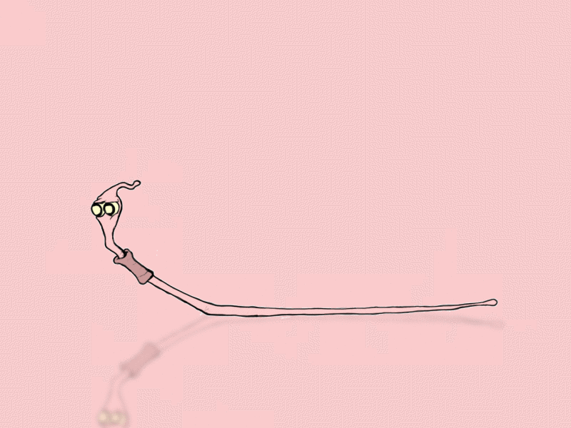 Worm Squirm 2 color 2d 2d animation adobe animation cartoon character character design comic comic book draw dribbble frame animation frame by frame funny illustration loop photoshop wacom walk cycle