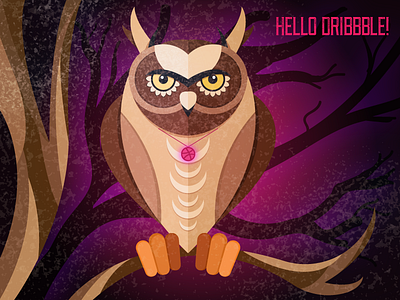 Night owl debut hello illustration owl