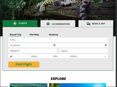 Travel Site booking booking system fight booking travel travel agency webapp