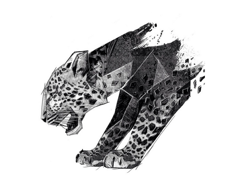 panther drawing