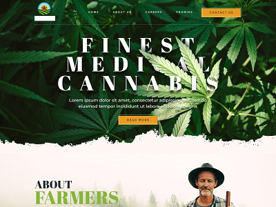 Homepage design for Marijuana growing Website branding cannabis cbd creative farm farmer hemp marijuana medical typogaphy weed