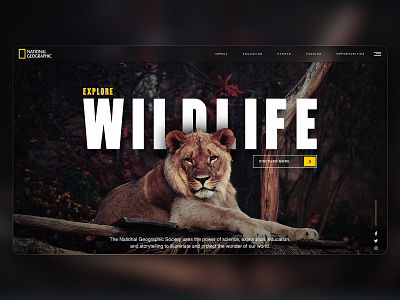 National Geographic Concept Design creative typogaphy wildlife
