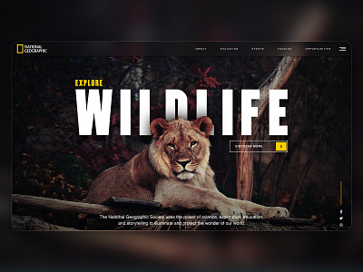 National Geographic Concept Design