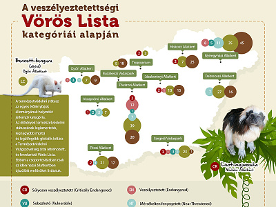 Infographics about baby animals animal baby infographics zoo