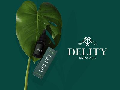 Delity Branding & Packaging Design branding design flat identity illustration logo type typography