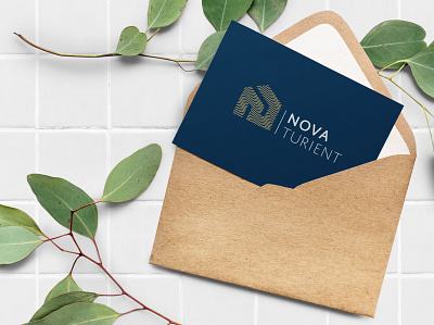 Novaturient // Bussines card brand identity branding bussines card design illustration logo logotype typography