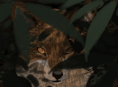 Fox in the Brush animals illustration nature photoshop