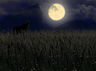 Wolf Night animal animals digital art illustration moon nature night