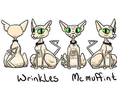 Wrinkles 5 point turn alien animals cartoon cats character illustraion pets sphynx cat