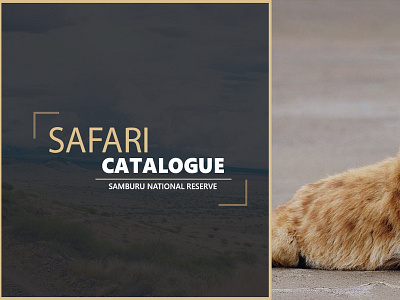 Safari branding typography