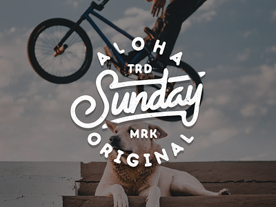 Sunday is Funday design illustrator typography vector