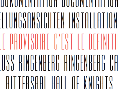 Le Provisoire rothman typography