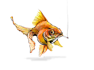 Illustration 2. animal fish illustration painting