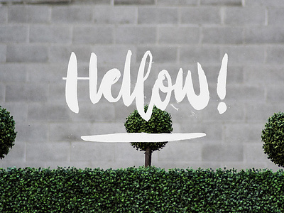 Hellow! :) brushpen handlettering script typography