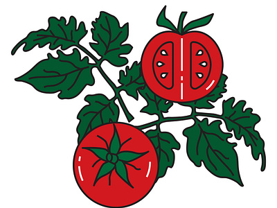 Image of tomatoes on a green Bush with leaves. For menu design