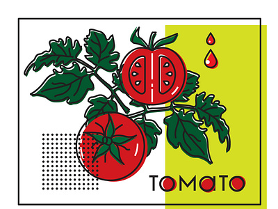 Image of a vegetable with the original inscription tomato. For