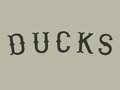 Ducks custom type duck ducks lettering logo logotype