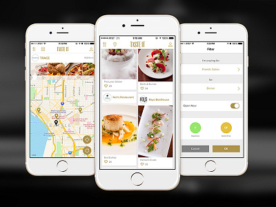 Taste It App app graphic design ios ui ux