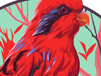 Blue-streaked Lory bird blue streaked lory digital painting drawing illustration parrot