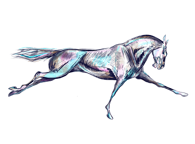 Splash of Color in Horses 🐎 art artist blood color colorful colors design digitalart draw drawing horse horse racing hue illustration ink painting race tint value watercolor