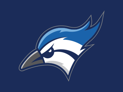 Blue Jay blue jay logo sports branding