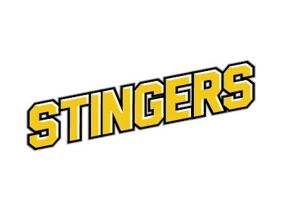 Southampton Stingers branding fantasy hockey logo